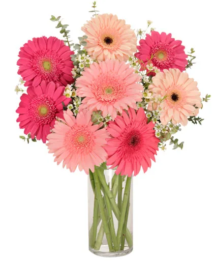 Gerb Appeal Bouquet Gerb Appeal Bouquet