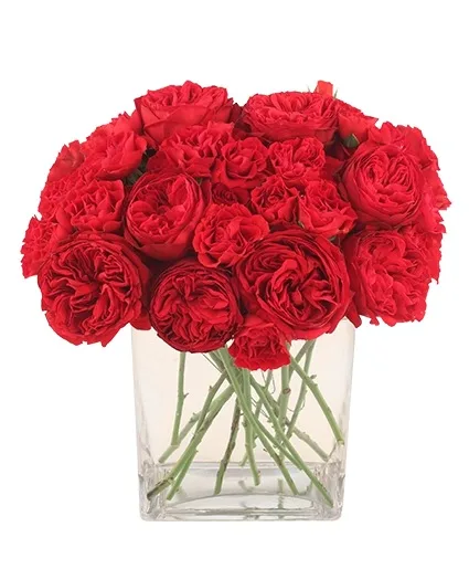 Red Carpet Bouquet Mixed Roses & Mini Roses Red Carpet Bouquet Mixed Roses & Mini Roses
