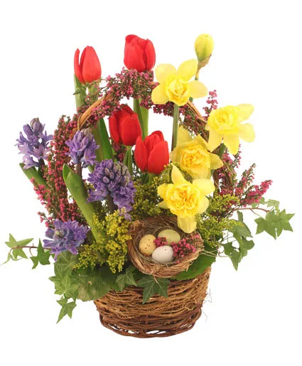 It's Finally Spring! Basket Arrangement It's Finally Spring! Basket Arrangement