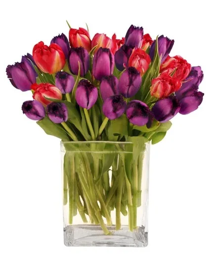Royal Amethyst Arrangement Royal Amethyst Arrangement