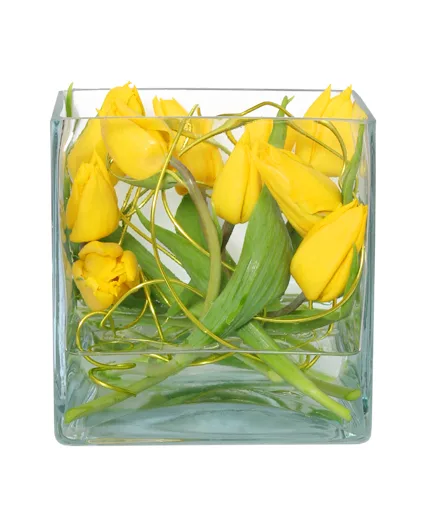 TWIRLING TULIPS Arrangement TWIRLING TULIPS Arrangement