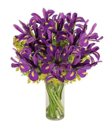 Purple Heart Iris Vase Purple Heart Iris Vase