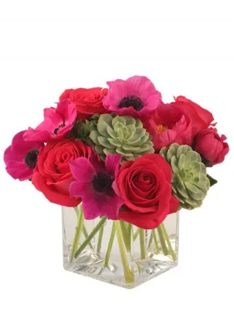 Back to the Fuchsia Bouquet Back to the Fuchsia Bouquet
