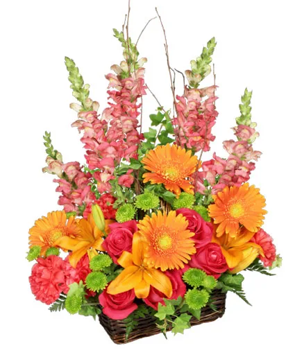Brilliant Basket Arrangement Brilliant Basket Arrangement