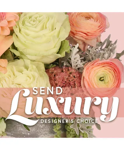 Send Luxury Designer's Choice Send Luxury Designer's Choice