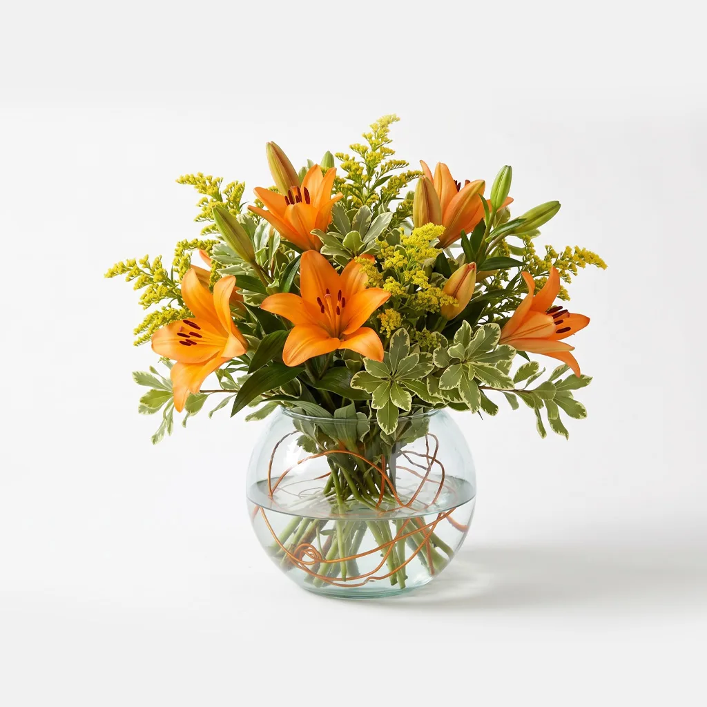 Orange Lily Sorbet Orange Lily Sorbet