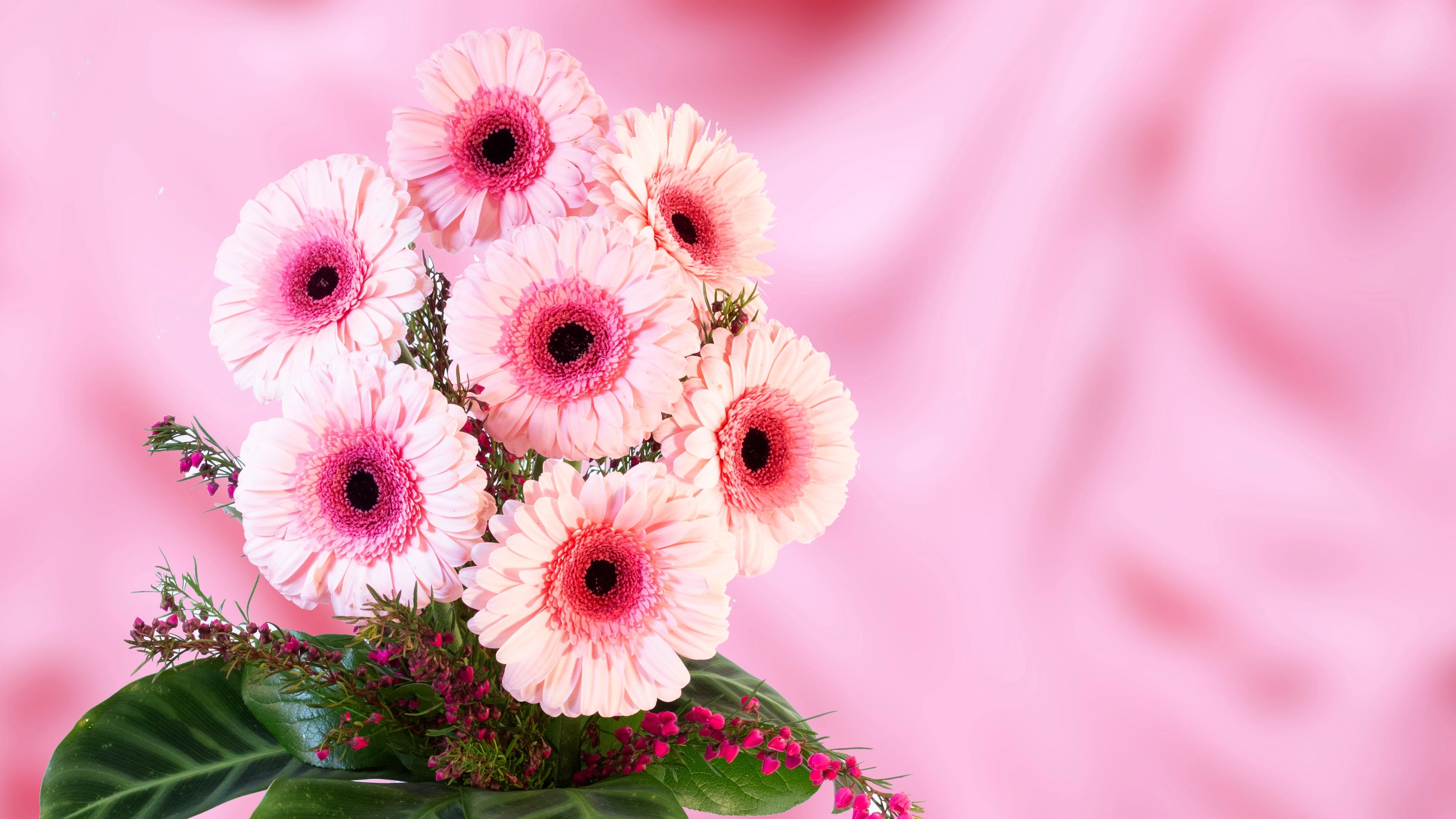 PINKS in Designer's Choice