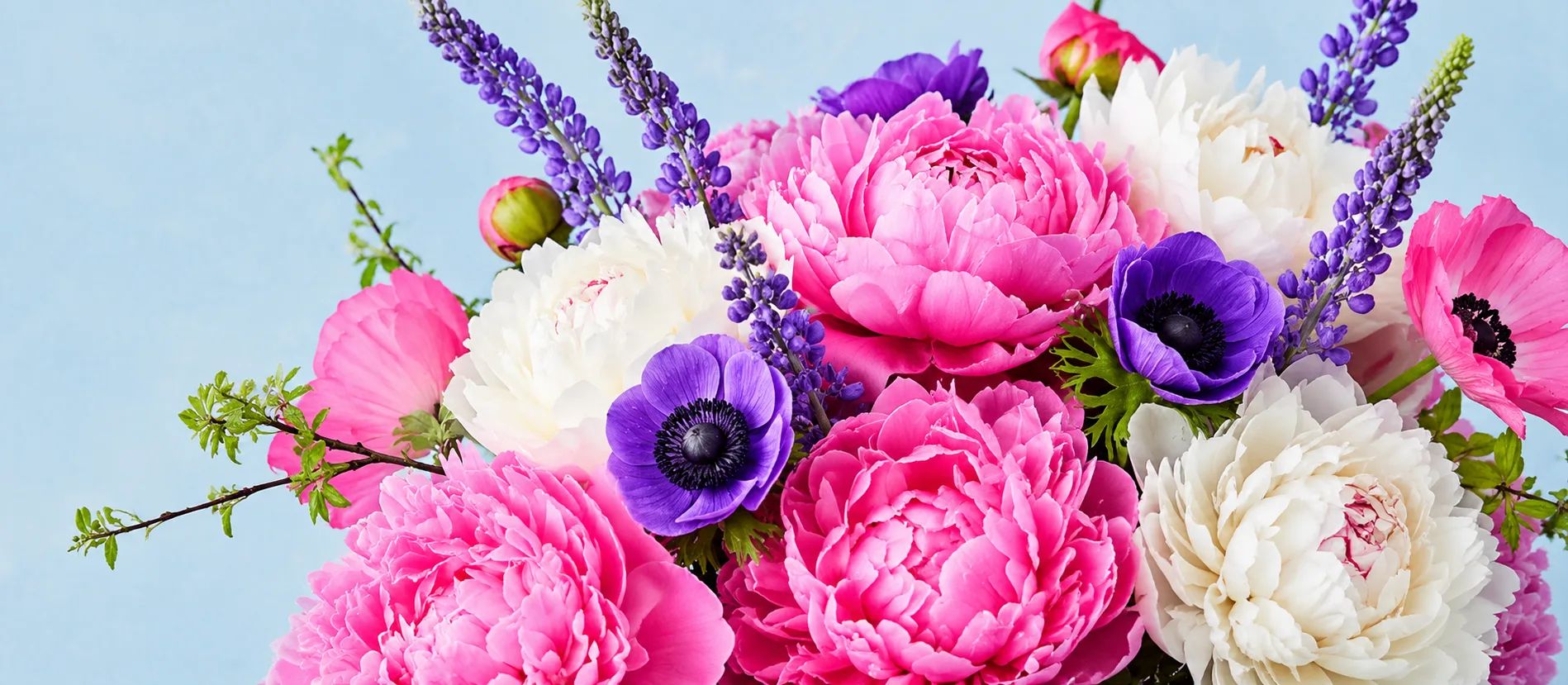 Featured flowers