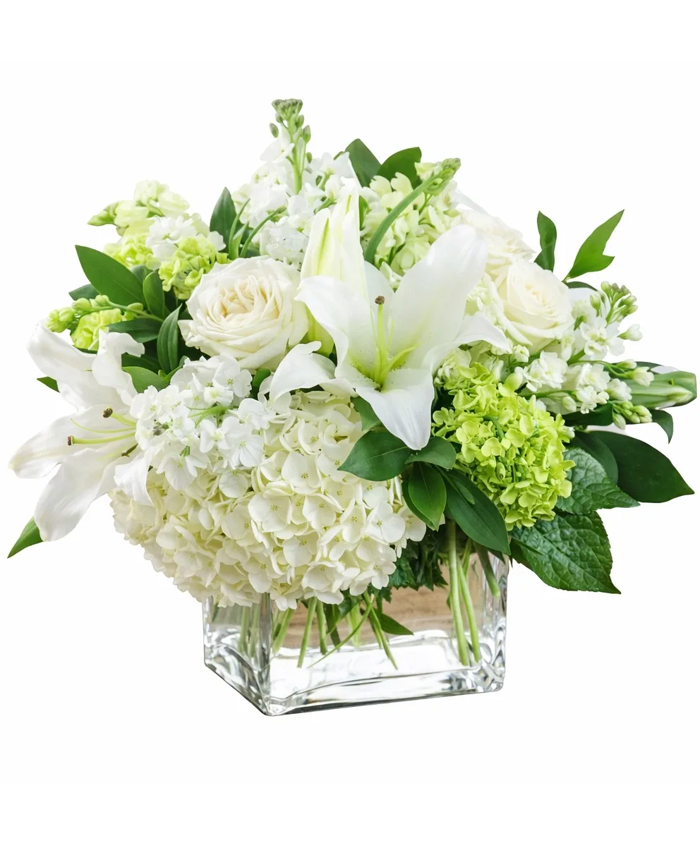 Ivory Elegance Ivory Elegance