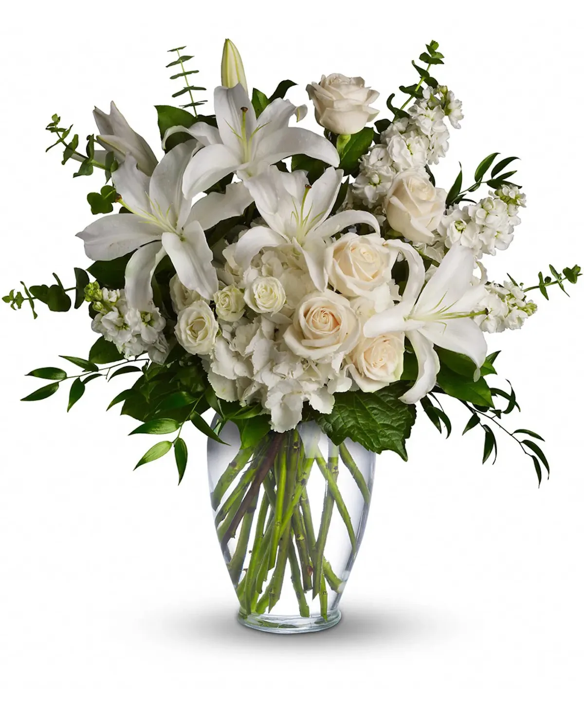 Classic Whites Classic Whites
