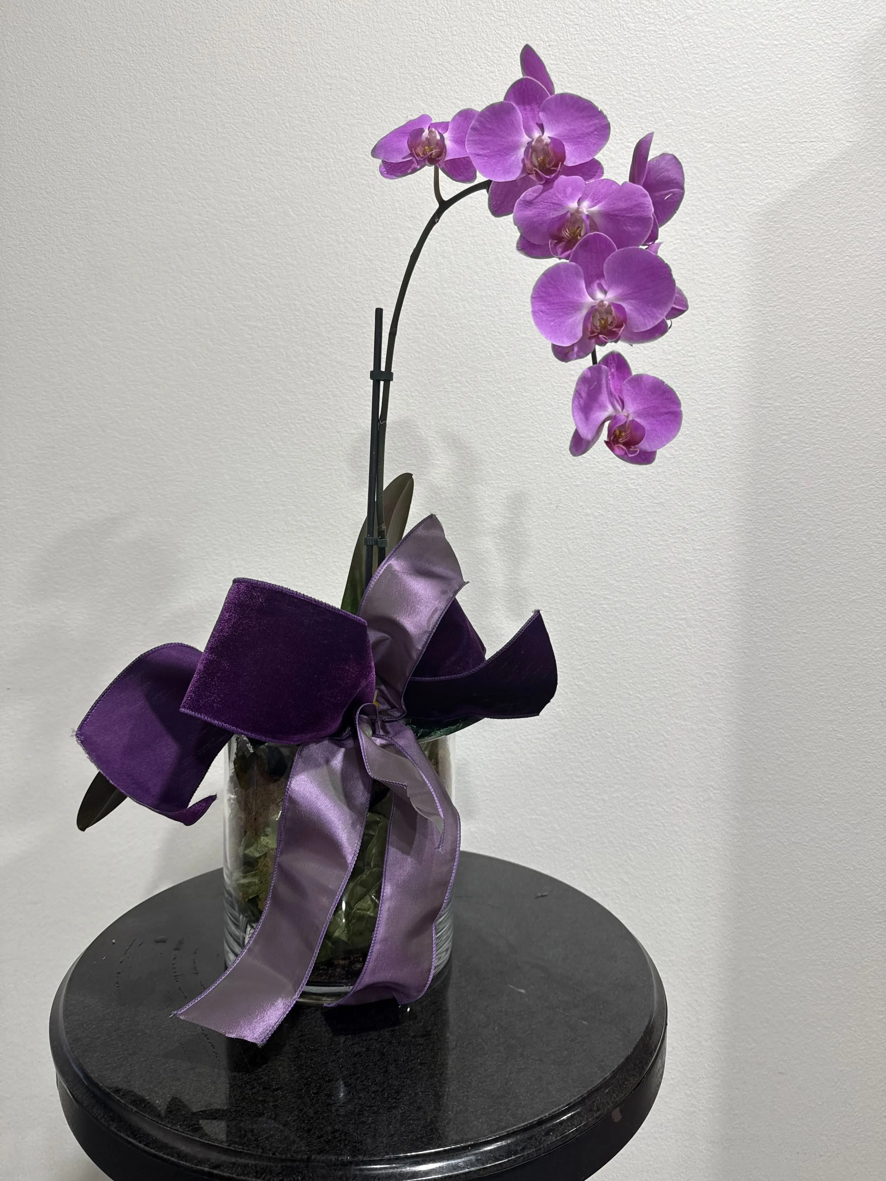 Plant Arrangement Plant Arrangement