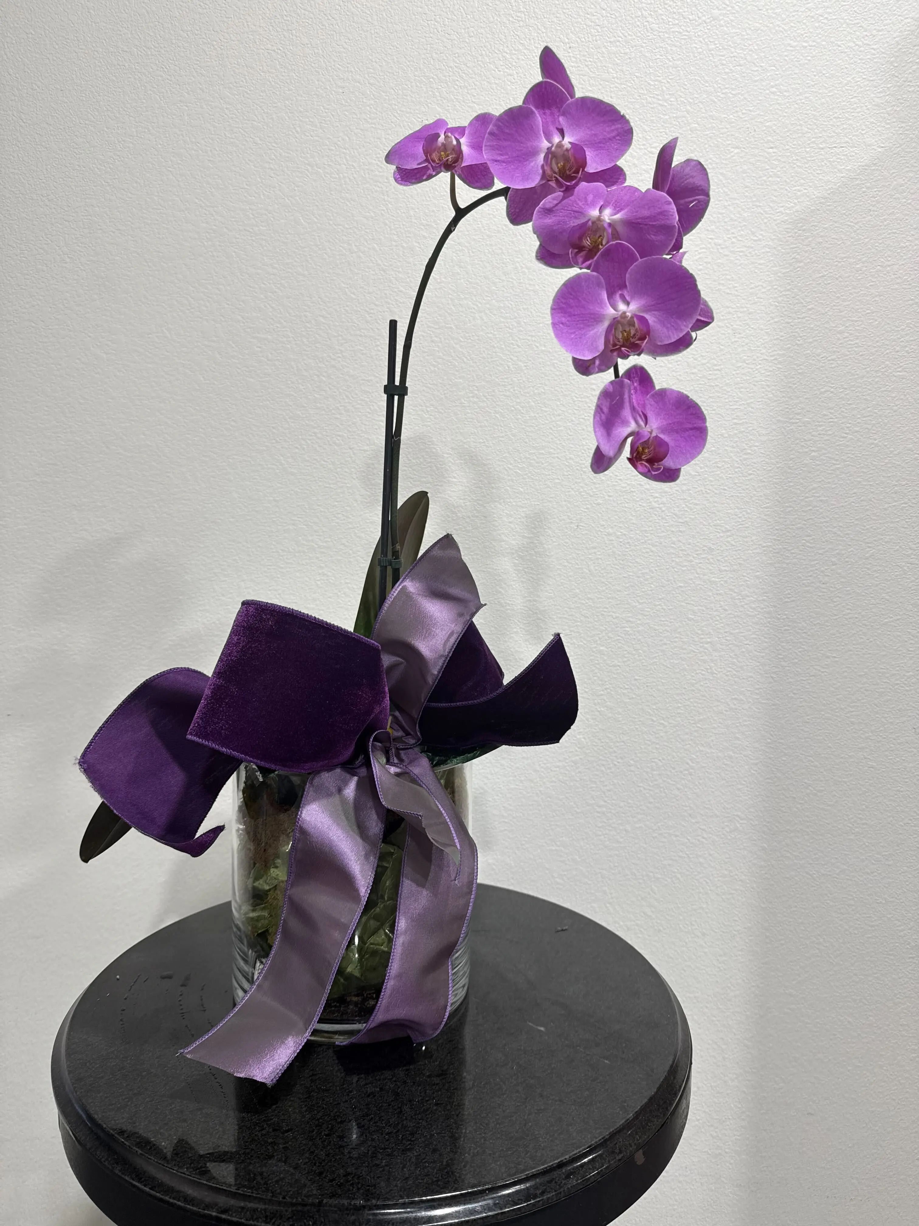 Plant Arrangement