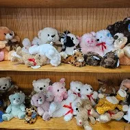 Plush Plush image