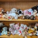 Plush image