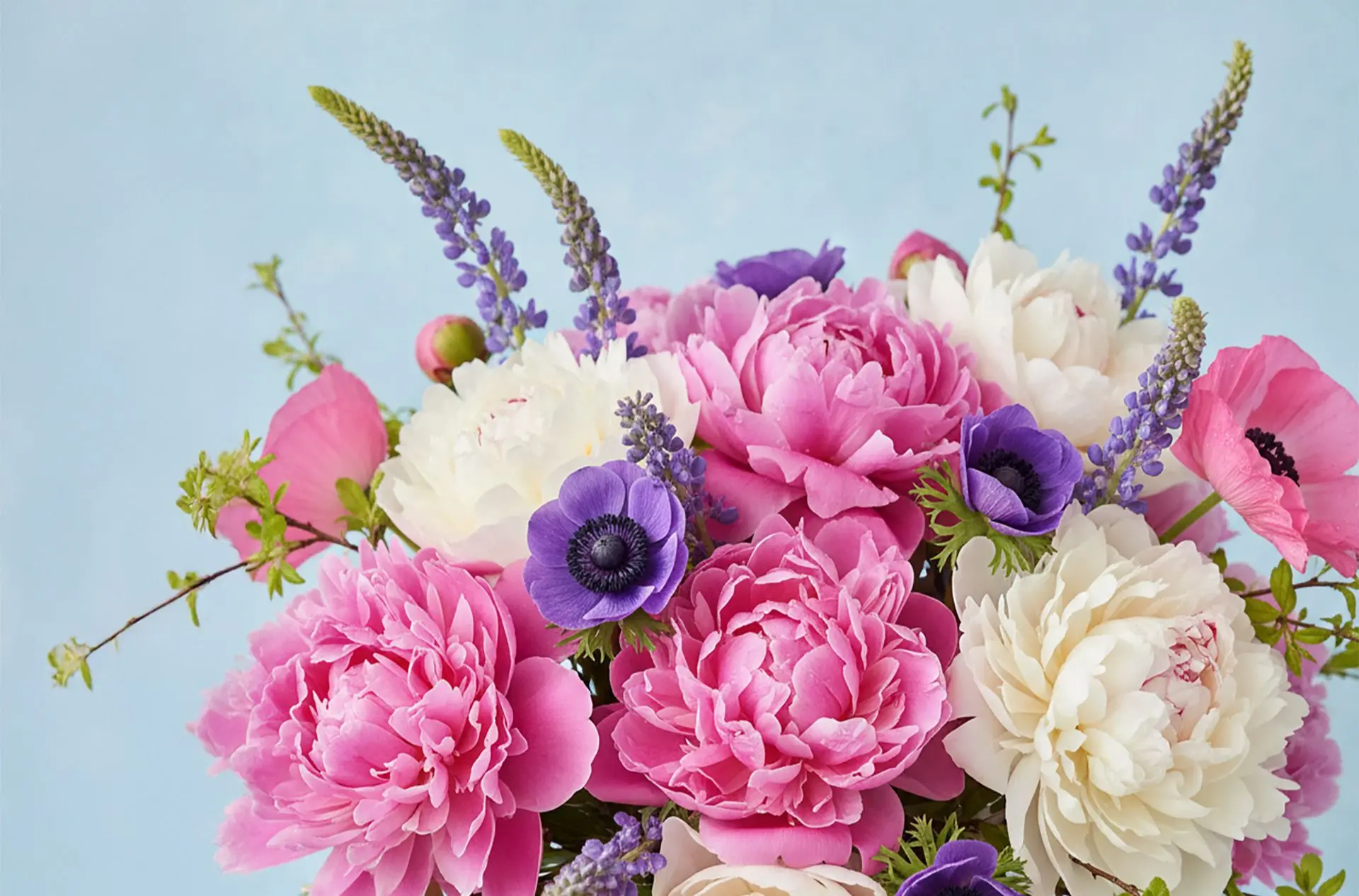 Featured flowers Featured flowers