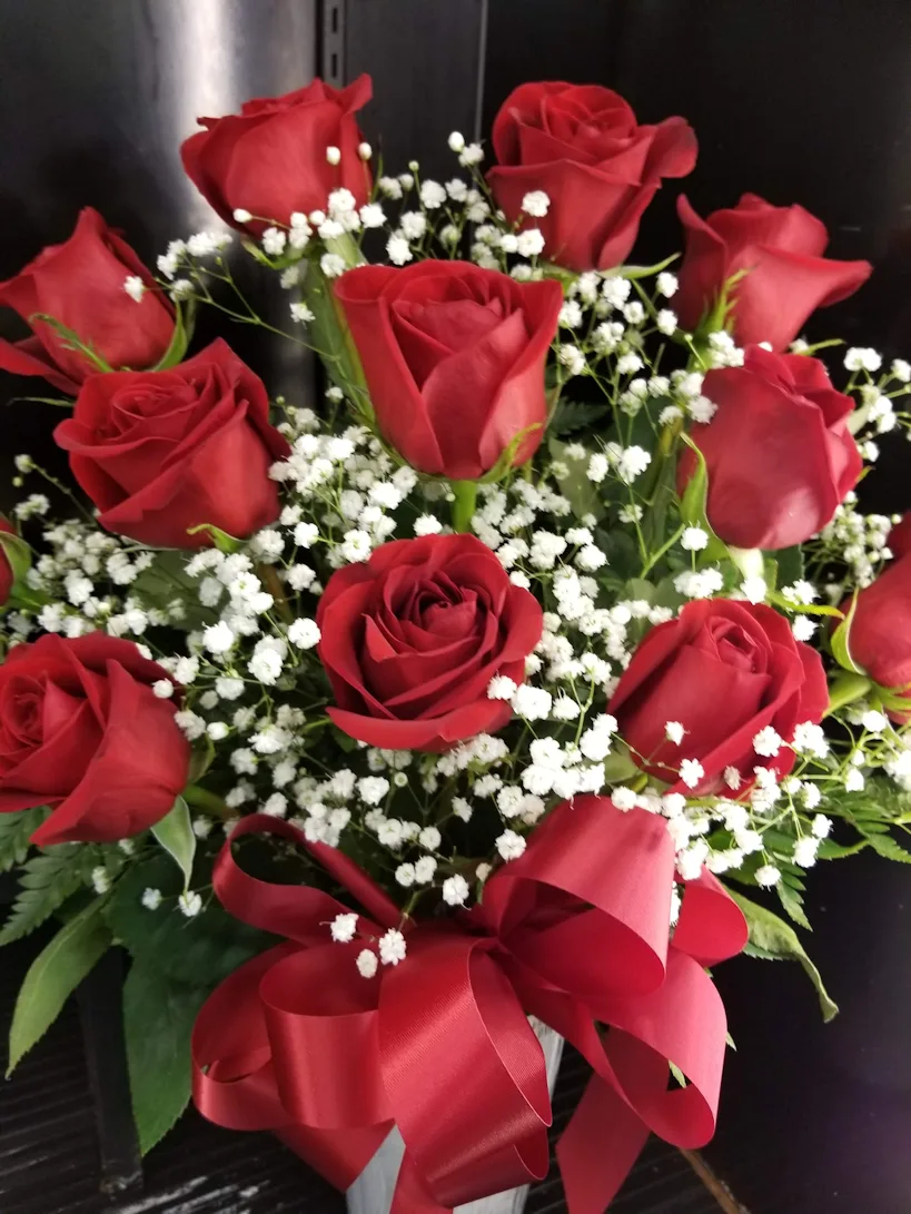Timeless Twelve Roses Timeless Twelve Roses