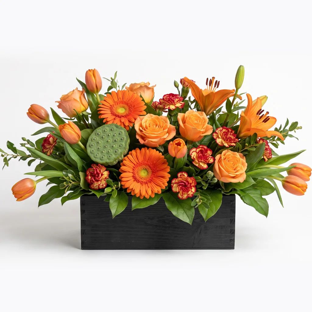 Bonfire Blaze