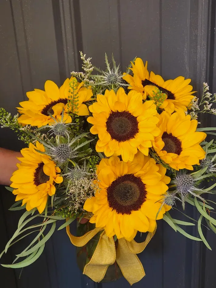 Sunflower Power Sunflower Power