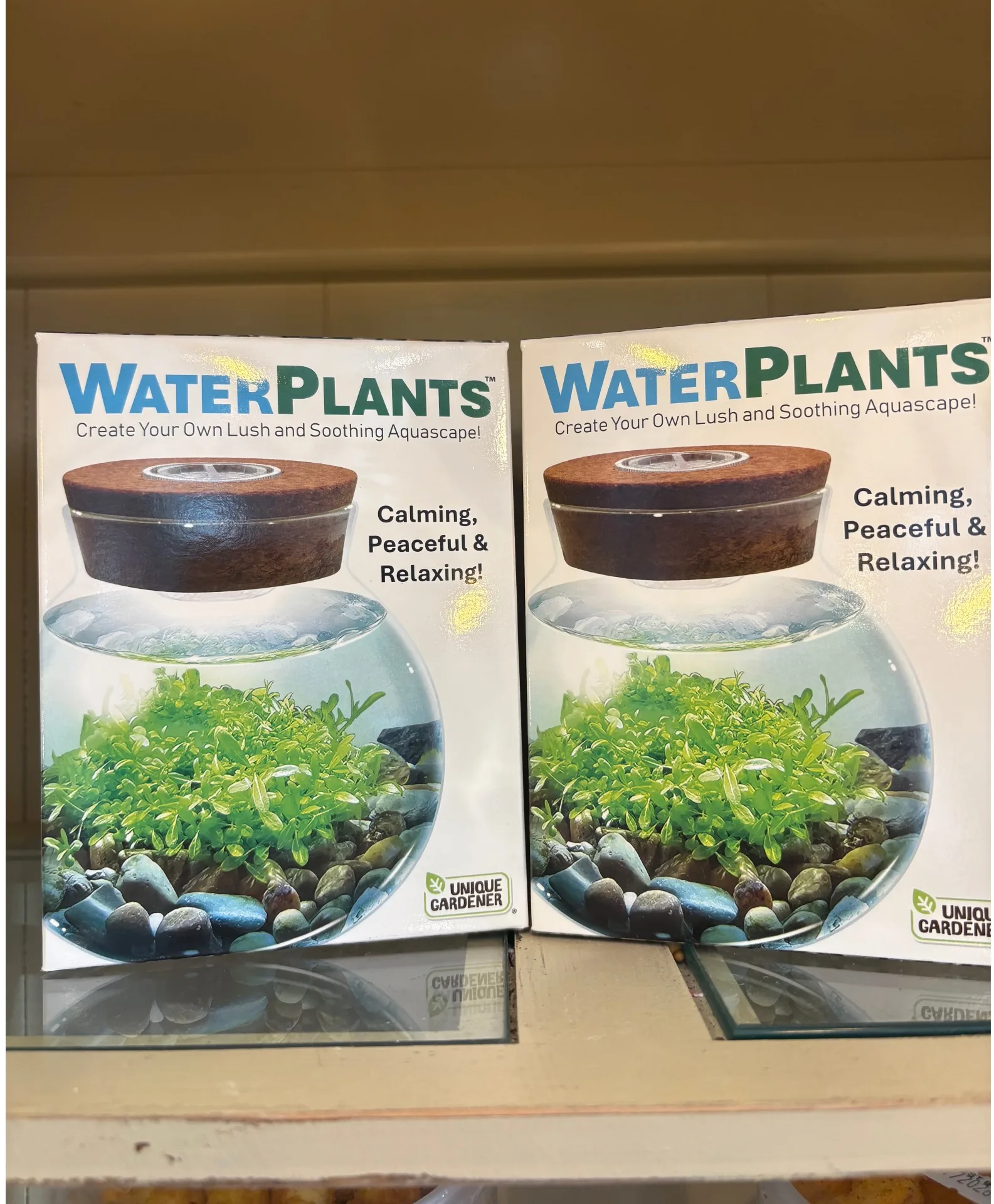 Water Plant Kit Water Plant Kit