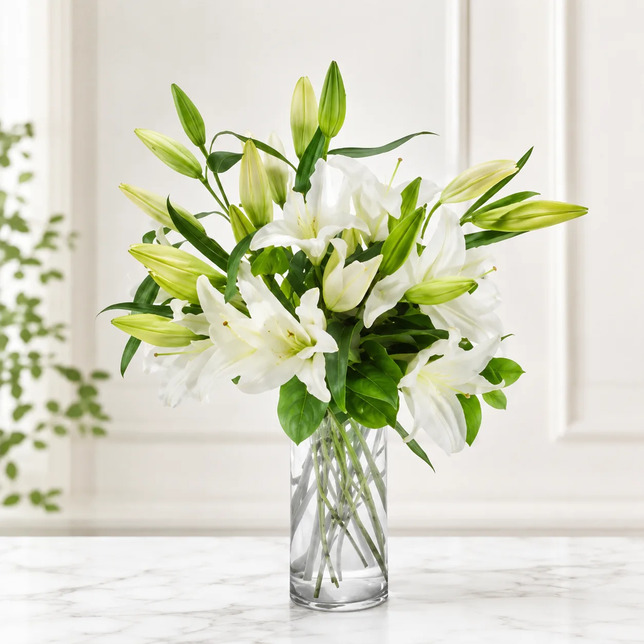Pure White Lily Elegance Pure White Lily Elegance