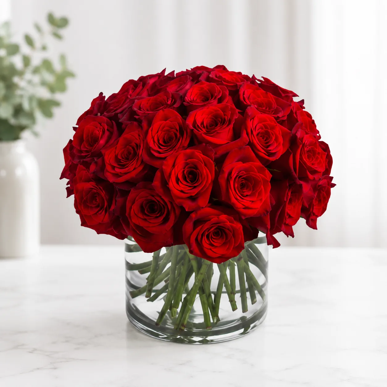 3 Dozen Roses 3 Dozen Roses