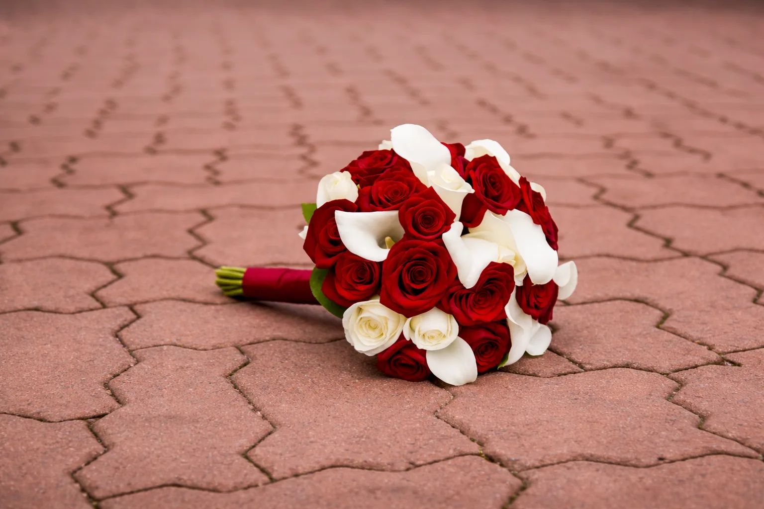 Featured flowers