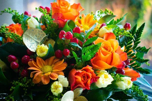 6 Month Plan FLOWER SUBSCRIPTIONS