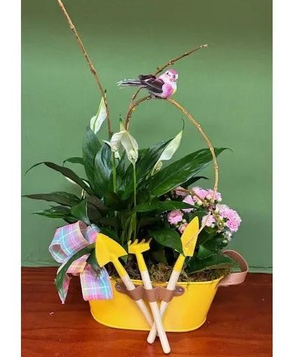 Master Gardener plant