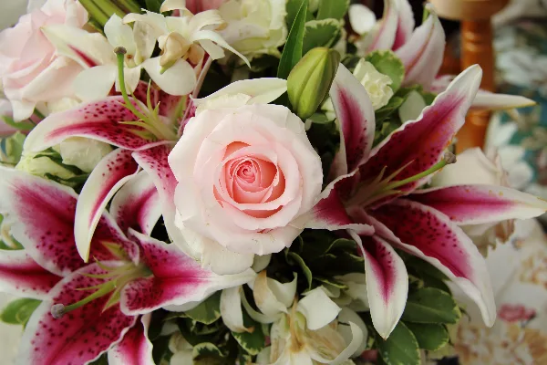 12 Month Plan FLOWER SUBSCRIPTIONS 12 Month Plan FLOWER SUBSCRIPTIONS