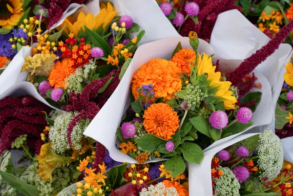 3 Month Plan FLOWER SUBSCRIPTIONS 3 Month Plan FLOWER SUBSCRIPTIONS