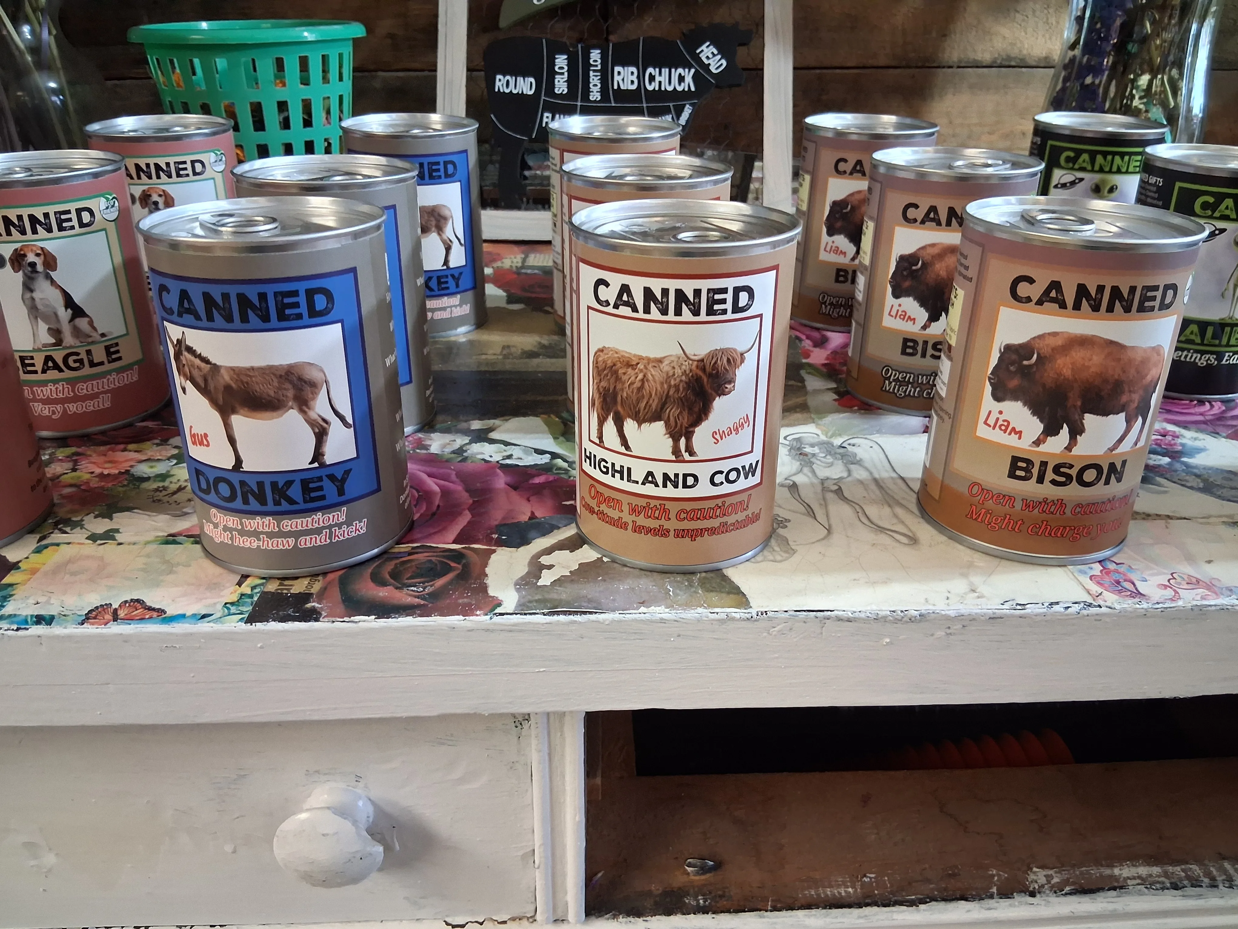 Canned Animals Canned Animals