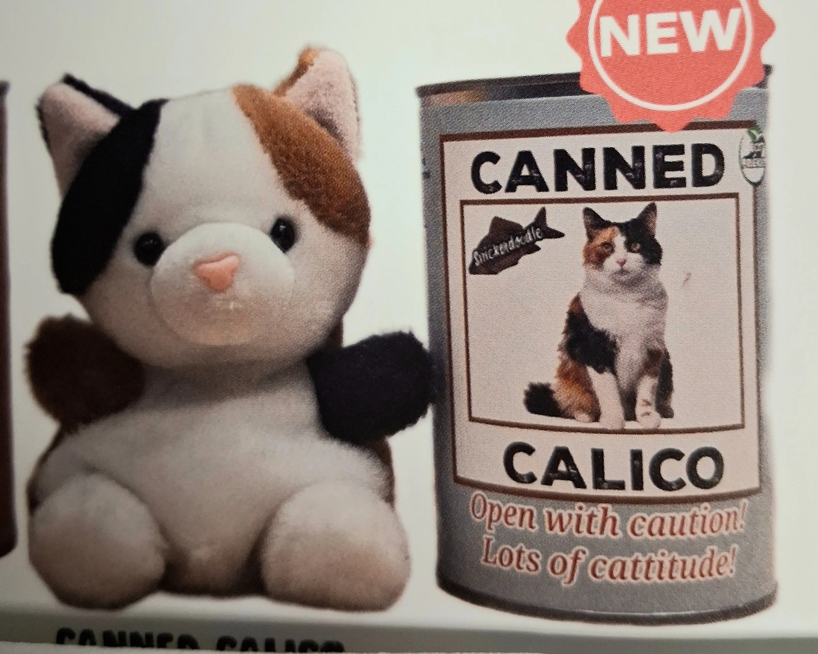 Canned Animals Canned Animals