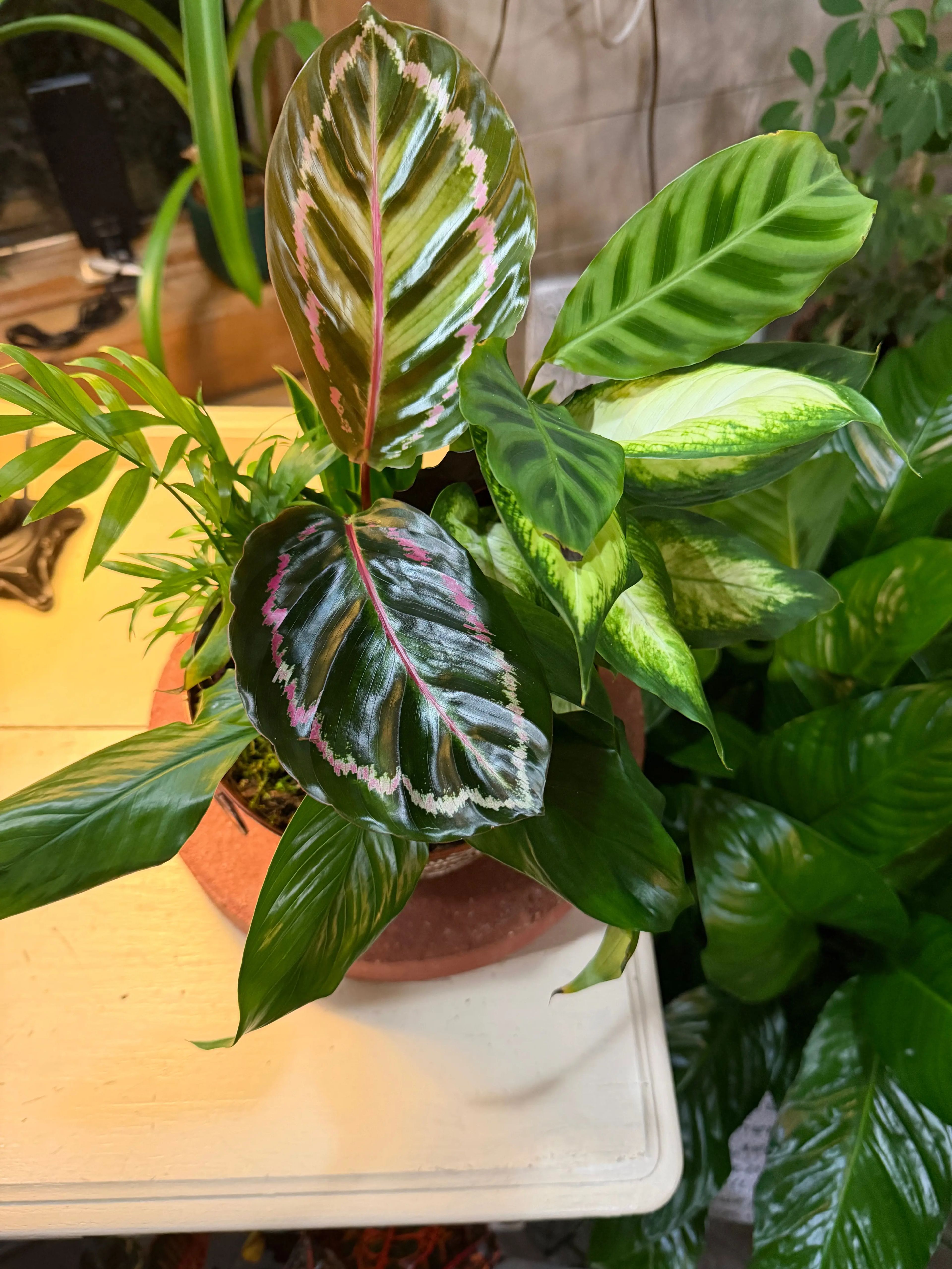 Mixed Planter