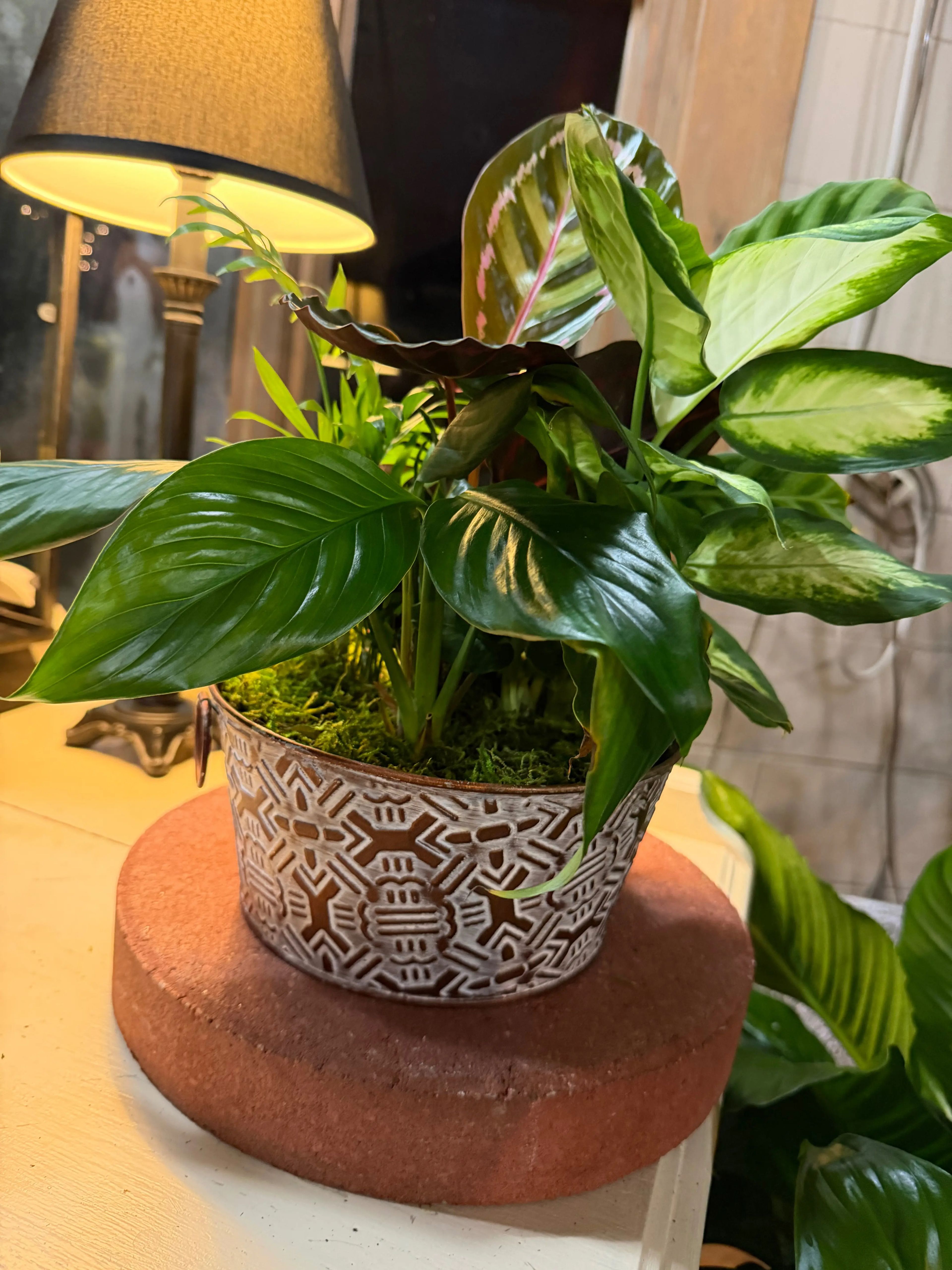 Mixed Planter