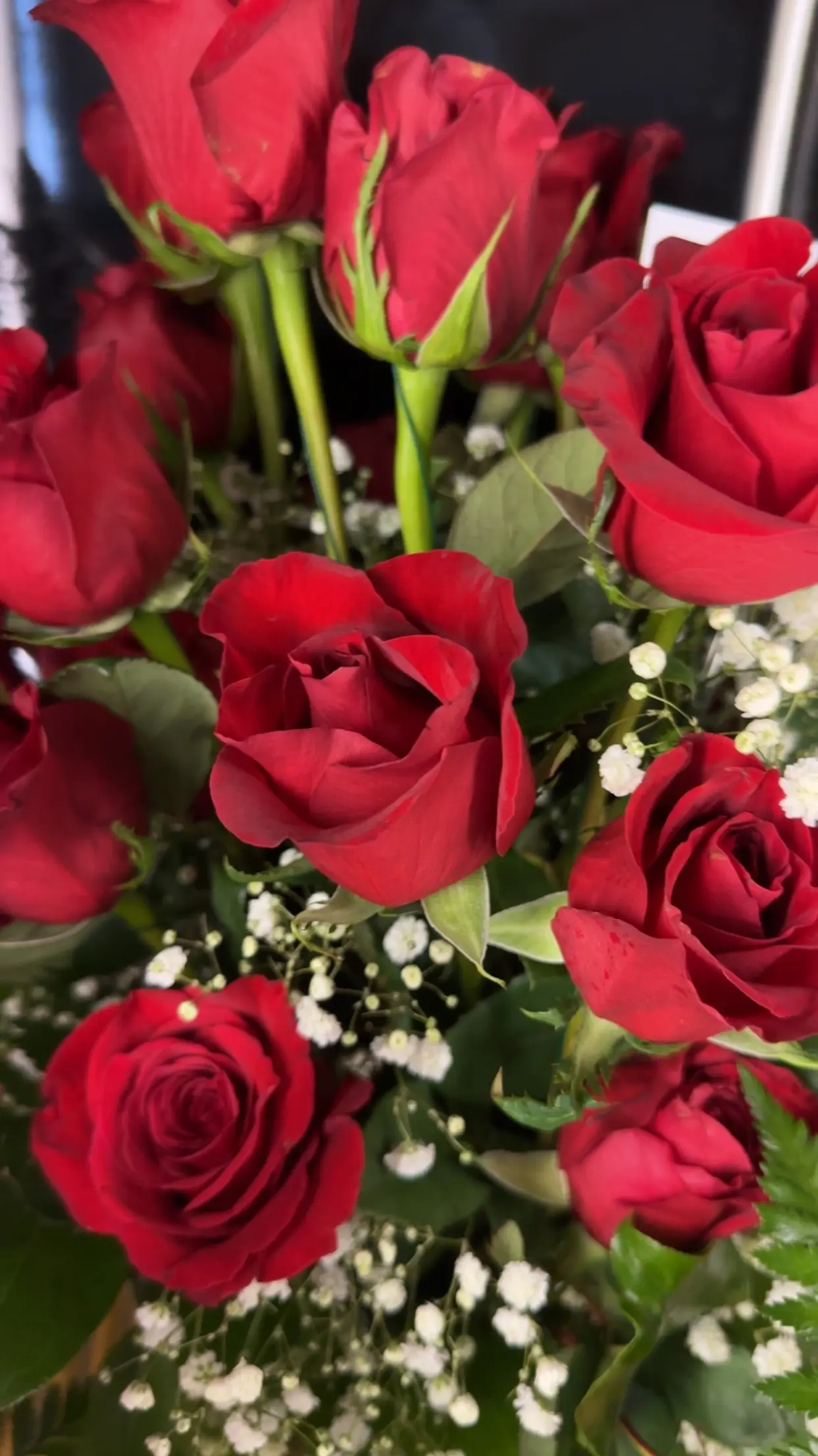 One Dozen Roses One Dozen Roses