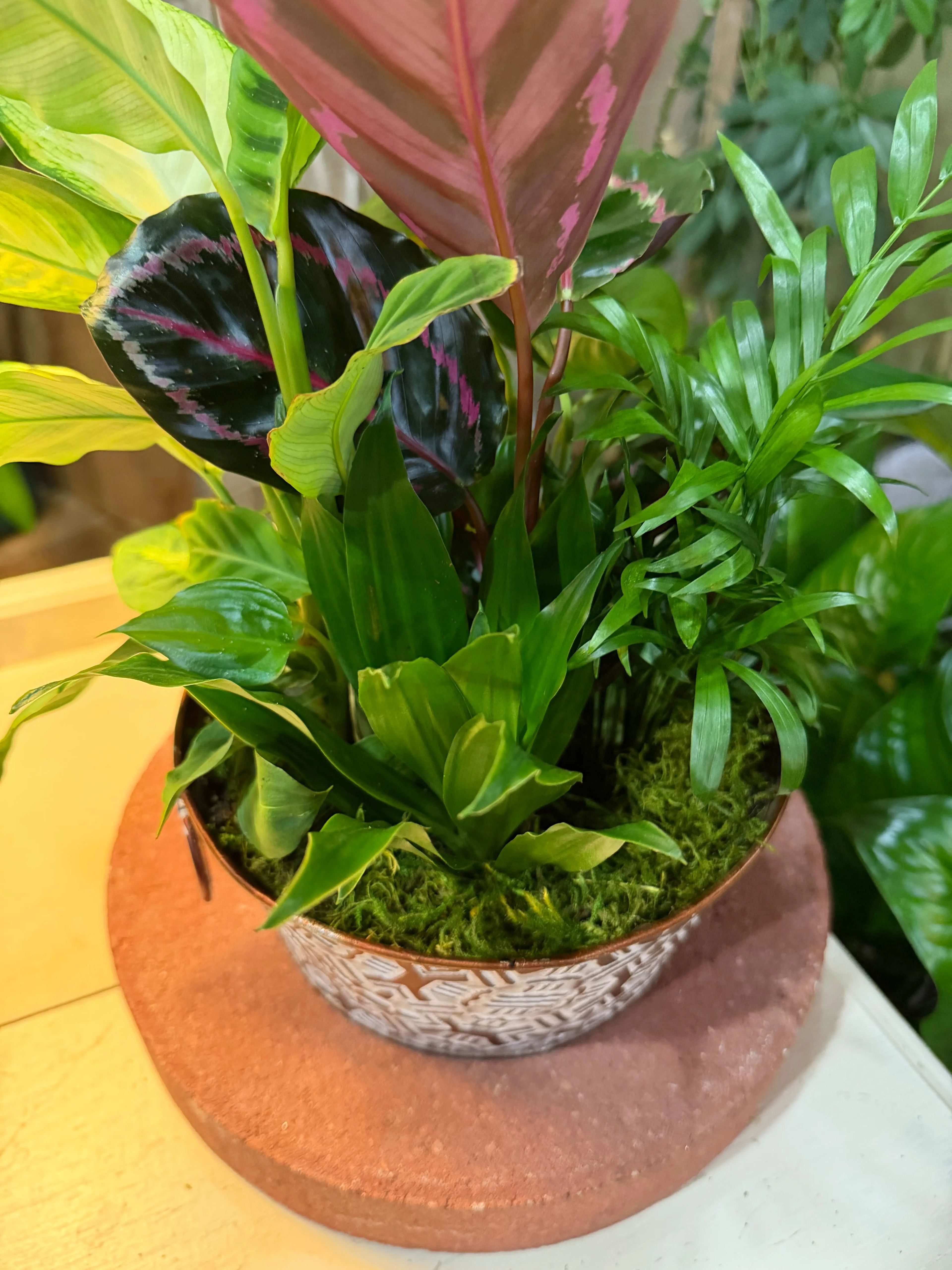 Mixed Planter