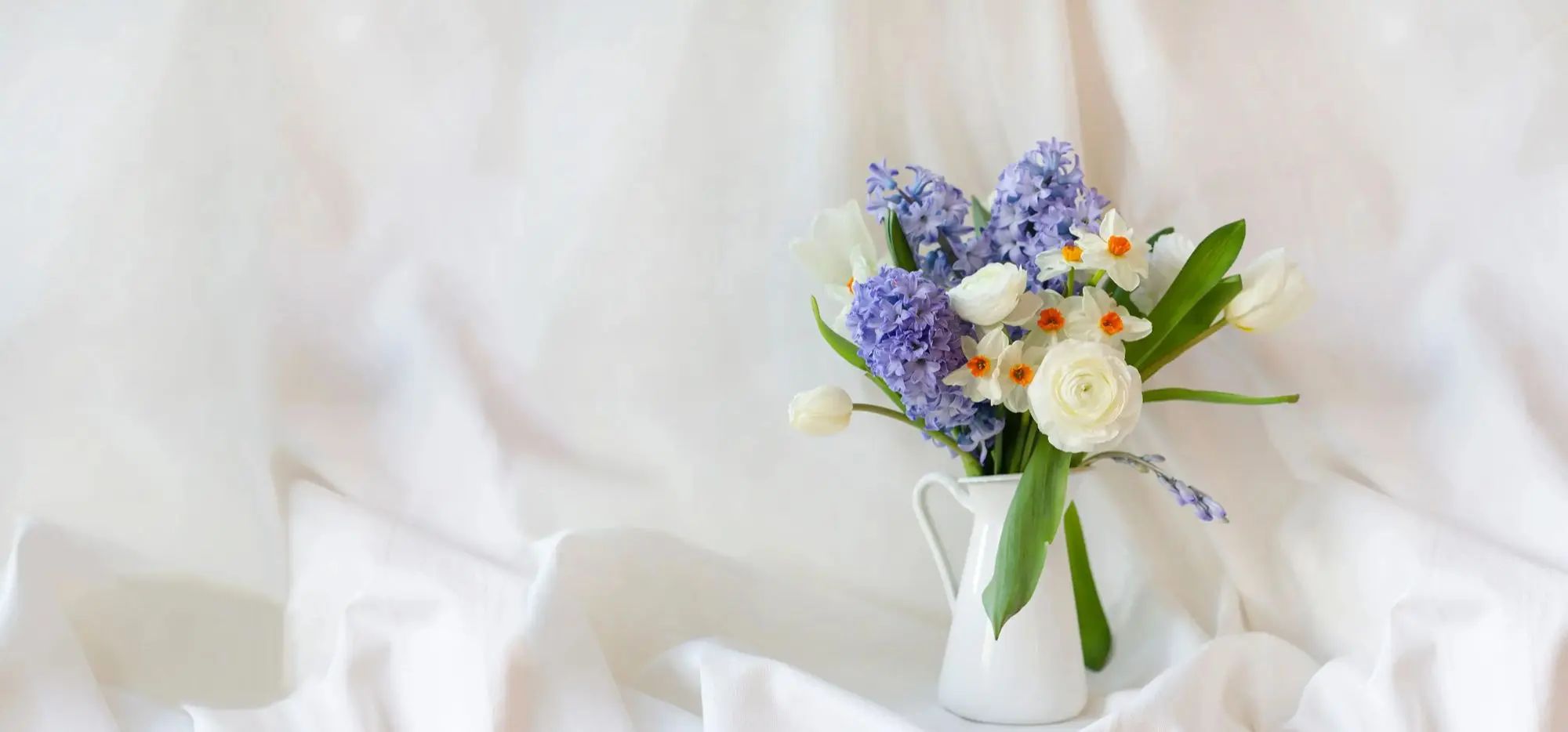 Featured flowers