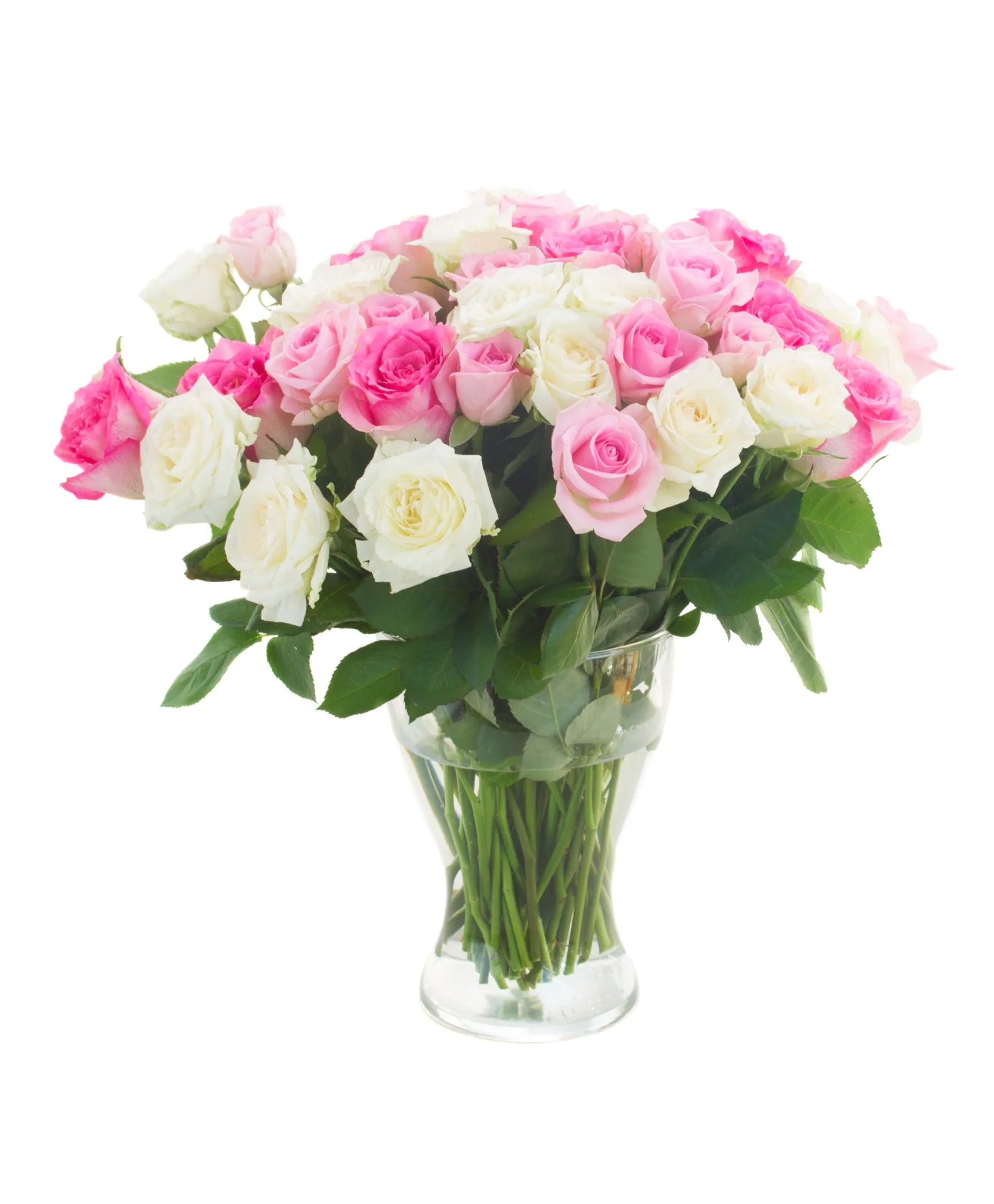 Blush and Pearl-36 Rose Vase Arrangement Blush and Pearl-36 Rose Vase Arrangement