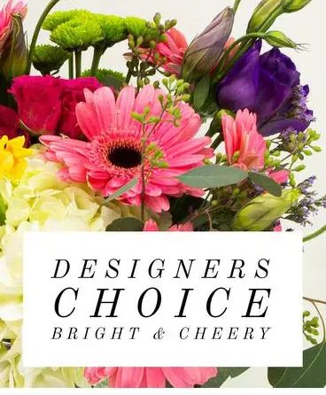 Designer's Choice