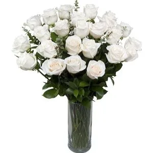 2 Dozen White Sympathy Roses 2 Dozen White Sympathy Roses