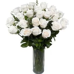 2 Dozen White Sympathy Roses
