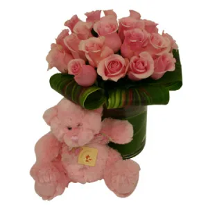 Baby Girl Posy and Teddy Bear Baby Girl Posy and Teddy Bear