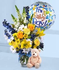Baby Boy Surprise Baby Boy Surprise