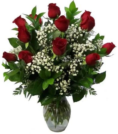 CLASSIC DOZEN ROSES LONG -STEM ROSES