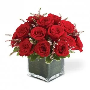 18 Red Roses in Cube Vase 18 Red Roses in Cube Vase