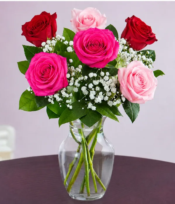 6 Assorted Roses Arranged 6 Assorted Roses Arranged