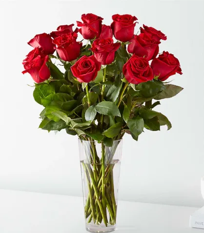 Timeless 18 Red Roses Timeless 18 Red Roses