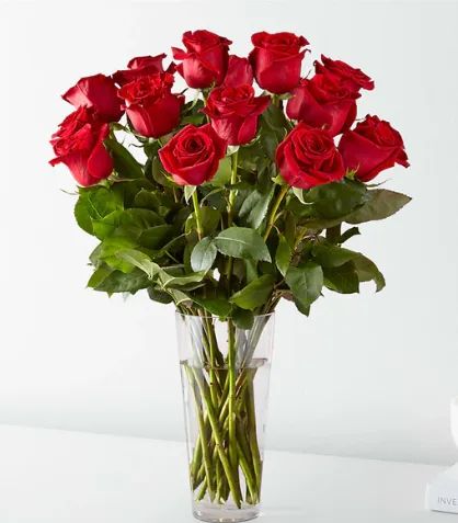 Timeless 18 Red Roses