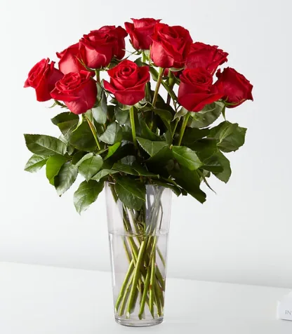 Timeless 12 red Roses Timeless 12 red Roses