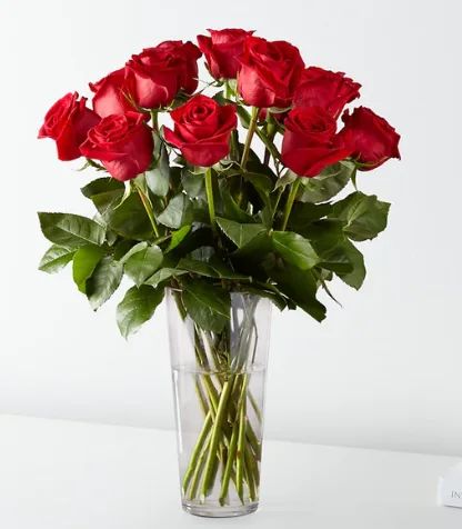 Timeless 12 red Roses